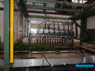 Denis-Plants_robot TTA_sortowanie roślin_fot_AC