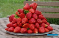 Truskawki odznaczają się jakością premium i wyjątkowym smakiem