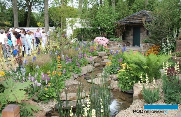 Chelsea Flower Show (wiosenna edycja sprzed paru lat), fot. A. Cecot