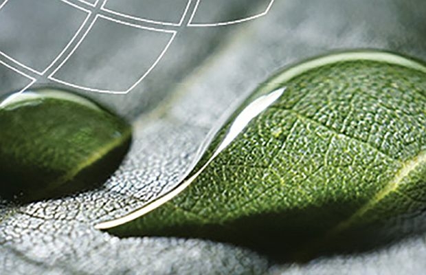 Plant-Health Conference AIPH 2021