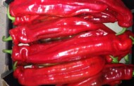 Papryka Sweet Palermo z uprawy w rejonie Radomia