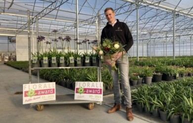 Tim Wyckstandt odebrał srebrny medal za agapant 