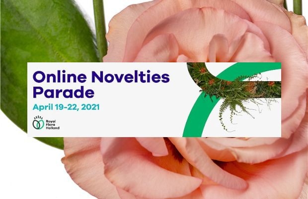 Online Novelties Parade - promocja nowości kwiaciarskich, fot. RFH