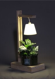 Tefallamp®, fot. Fusioncolors