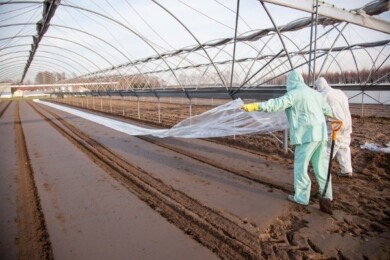 Przykrywanie gleby po zastosowaniu preparatu Basamid.