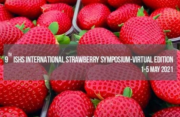 IX Międzynarodowe Sympozjum nt. Truskawek (ISS 2021) odbędzie się w formule online