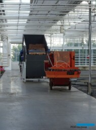 Ogrodnictwo Nowaccy_Dachowa_linia do doniczkowania