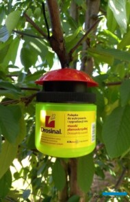 Pułapka Drosinal (ICB Pharma)