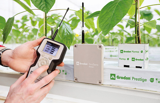 GroSens to ważny element e-Gro, zapewniający precyzyjną kontrolę monitoring warunków środowiska korzeniowego.