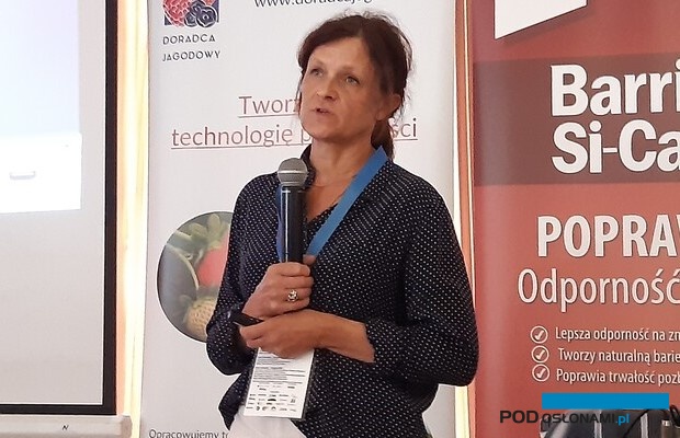 dr hab. Edyta Górska-Drabik
