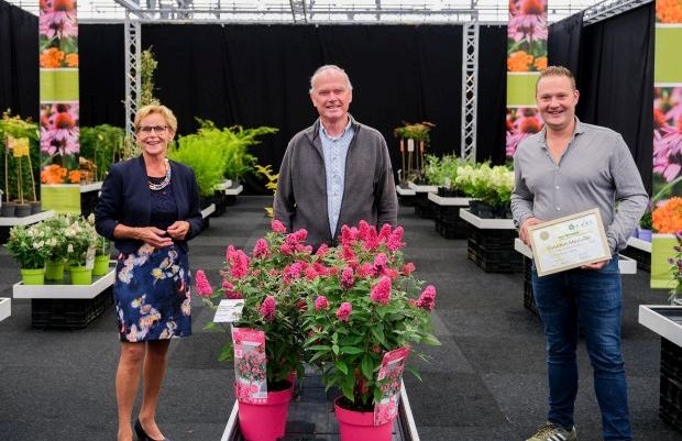 Od lewej: Helma van der Louw (prezes KVBC), Jan de Vries (prezes SVB) i Sebastiaan van der Heijden (z certyfikatem „Najlepsza Nowość”) z firmy Van Son & Koot oraz budleja BUTTERFLY CANDY LITTLE RUBY, fot. SVB
