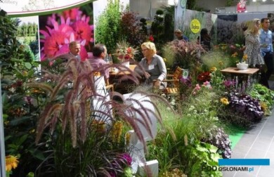 Migawka z wystawy Zieleń to Życie 2019, fot. A. Cecot