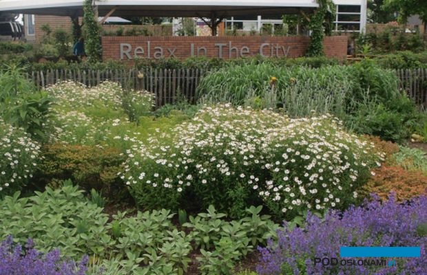 Kampania " Zielone Miasto Europy " jest współfinansowana z funduszy UE, prowadzona jest pod auspicjami ENA, a w Polsce zajmuje się nią ZSzP, fot. A. Cecot