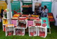 Ekspozycja warzyw przygotowana podczas promocyjnego spotkania w Potworowie przez Stowarzyszenie Producentów Pomidorów i Ogórków pod Osłonami (SPPiOPO) oraz Zrzeszenie Producentów Papryki Rzeczpospolitej Polskiej (ZPPRP)