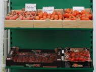 Ekspozycja owoców pomidorów została przygotowana głównie przez Grupę VegPol