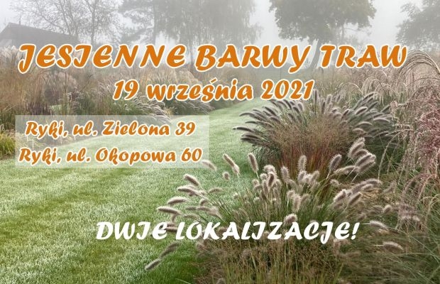 Jesienne-Barwy-Traw_szkolka Daglezja_