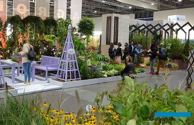 Zielen to Zycie 2021