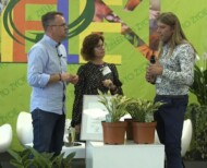 Przemysław Godlewski (1. z prawej) charakteryzuje wyselekcjonowaną przez siebie nową odmianę funkii - GYPSY LEMON; fot. A. Cecot, prt scr.