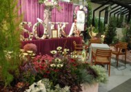 Szkolka Sojka_Zielen-to-Zycie 2021