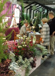 Jeżówki były dobrze widoczne na wystawie ZielenToZycie2021 (tu: ekspozycja Szkółek Sójka)