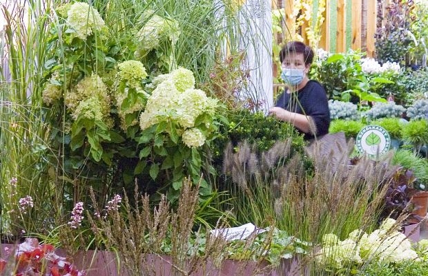 Byliny były jedną z atrakcji wystawy Zieleń to Życie 2021, fot. APZ