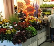 vitroflora_ZielenToZycie2021_fot.APZ