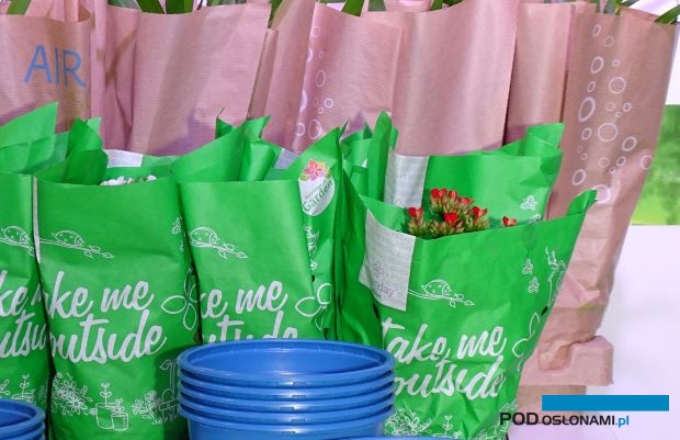 Dział "IPM Packaging Center" zwróci uwagę zwiedzających targi IPM Essen 2022 na przyjazne środowisku opakowania (w tym doniczki i palety), fot. A. Cecot