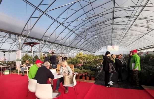 Zielony ShowRoom - migawka z wystawy w 2019 r., fot. Gospodarstwo Ciepłucha