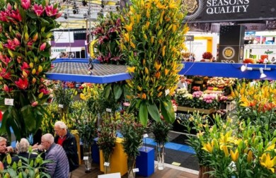 Migawka z targów IFTF 2019, fot. HPP 