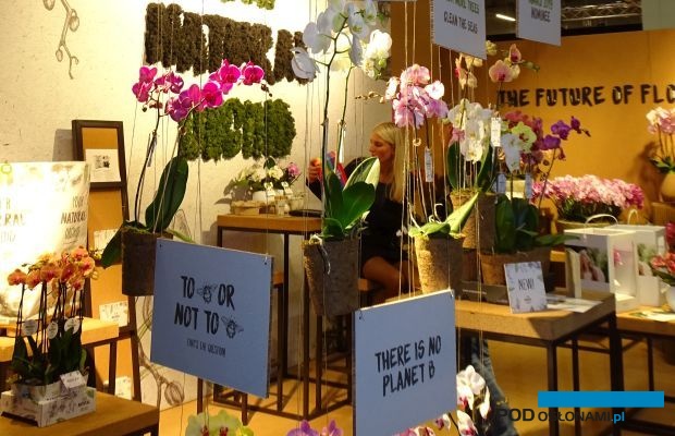 "Zrównoważony rozwój" branży roślin ozdobnych, czyli przyjazna środowisku oraz ludziom produkcja i dystrybucja, były tematem międzynarodowej konferencji zorganizowanej przez AIPH; fot. A. Cecot