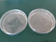 Korzenie potraktowane 1,5% Agro ECA