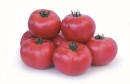 pomidor Takado