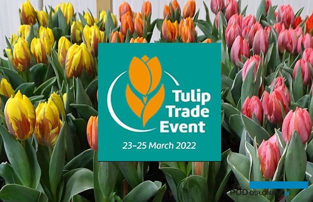 Tulip Trade Event 2022