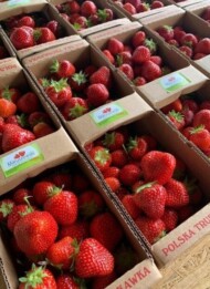 opakowania na truskawki