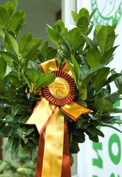 Zielen to Zycie& Flower Expo Polska 2021