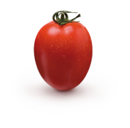 Odmiana Bylesa, pomidor wydłużony