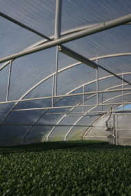 Między dwie warstwy folii tłoczone jest powietrze, dzięki takiej izolacji w mnożarce łatwiej jest utrzymać stabilną temperaturę