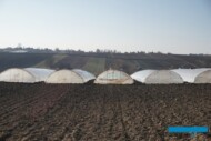 Tunele położone są na skłonie o wystawie południowej, w czasie słonecznej pogody szybko się nagrzewają