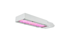 Philips Toplight Force Compact