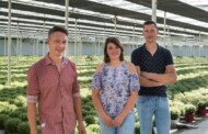 Steven, Julie i Simon Verhelle - włąściciele belgijskiego gospodarstwa z przyjazną środowisku produkcją ozdobnych roślin sezonowych (fot. Ivan De Clercq)
