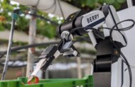 W finale tegorocznego konkursu " GreenTech Innovation Awards " są nowości, które wykorzystują cyfrowe dane i sztuczną inteligencję (tu: robot do zbioru truskawek w uprawach pod osłonami); fot. GreenTech