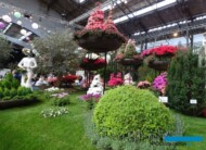 Floralien Gent 2022_Floraliën Hall_fot.-A-Cecot