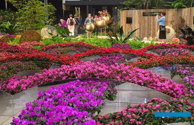 Migawka z Floraliën Gent 2022 - zasadniczej części tej wystawy, w historycznym gandawskim pawilonie Floraliën Hall (fot. A. Cecot)