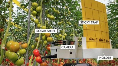 Zasady działania systemu Trap-Eye, fot. GreenTech