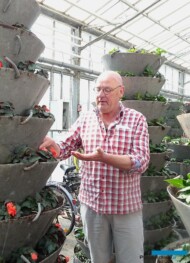 Patrick Naudts, właściciel gospodarstwa Fleurig, które co roku przygotowuje wiele nasadzeń roślin balkonowo-rabatowych do dekoracji miast (zdjęcie z końca kwietnia)_fot-A-Cecot