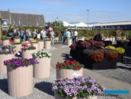 Florensis__FlowerTrials2022_fot.-A-Cecot