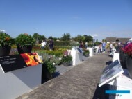 Florensis__FlowerTrials2022_fot.-A-Cecot