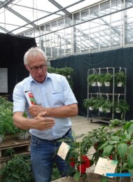 GunterBuckermann_SyngentaFlowers_fot-A-Cecot