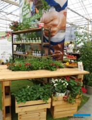 Volmary_FlowerTrials 2022_fot. A-Cecot