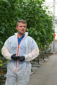 Informacji na temat uprawy odmiany Maturbo w szklarni państwa Młynków udzielał Gabriel Chojnacki z firmy Syngenta